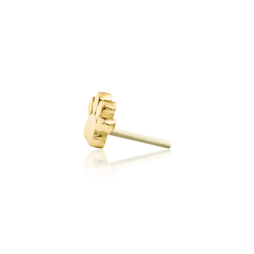 Verity-14K Gold 
