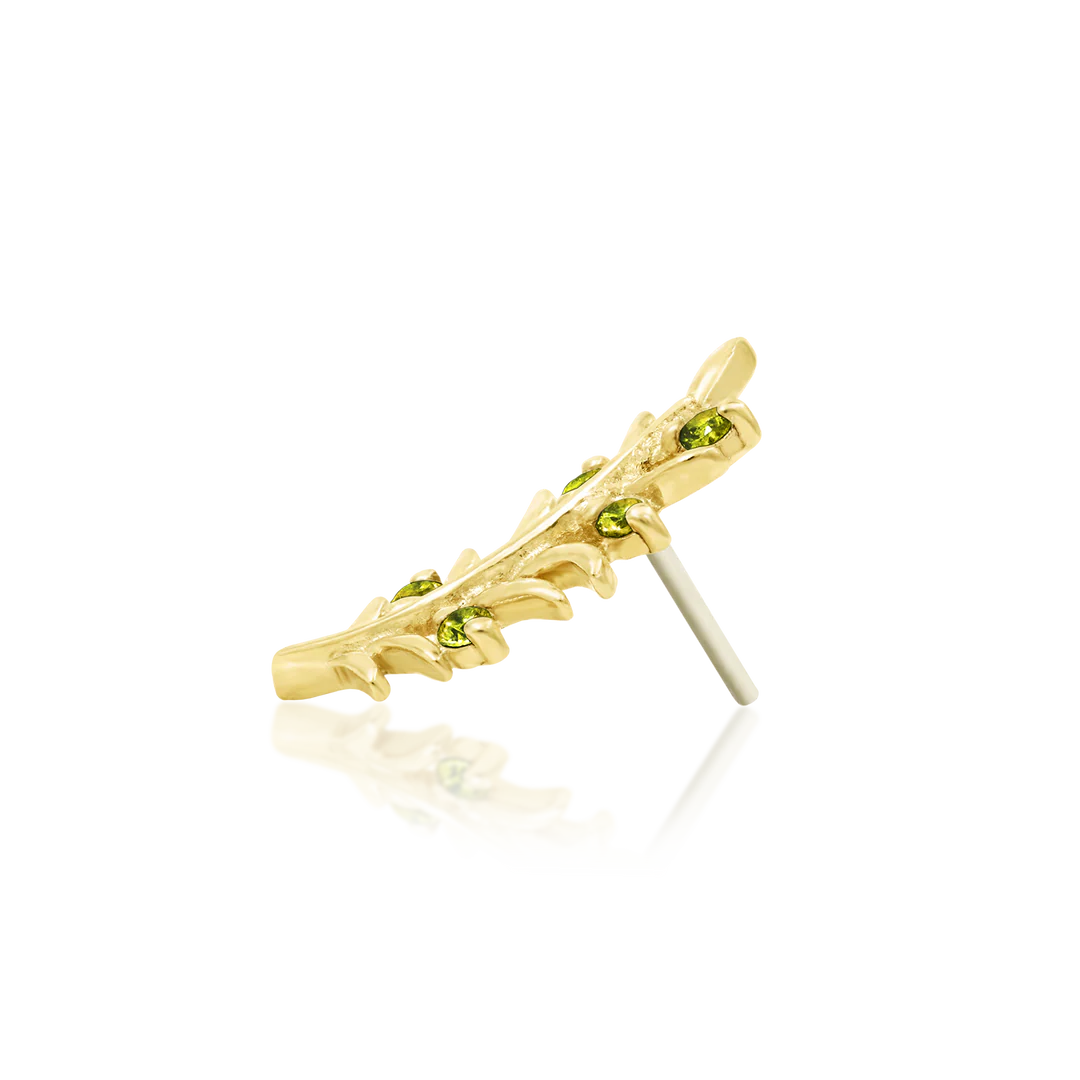 Olive Branch – Peridot CZ Curve – 14K Gold Threadless End