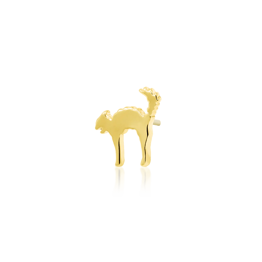 SCAREDY CAT 14K GOLD  - THREADLESS END piercing-zone.com