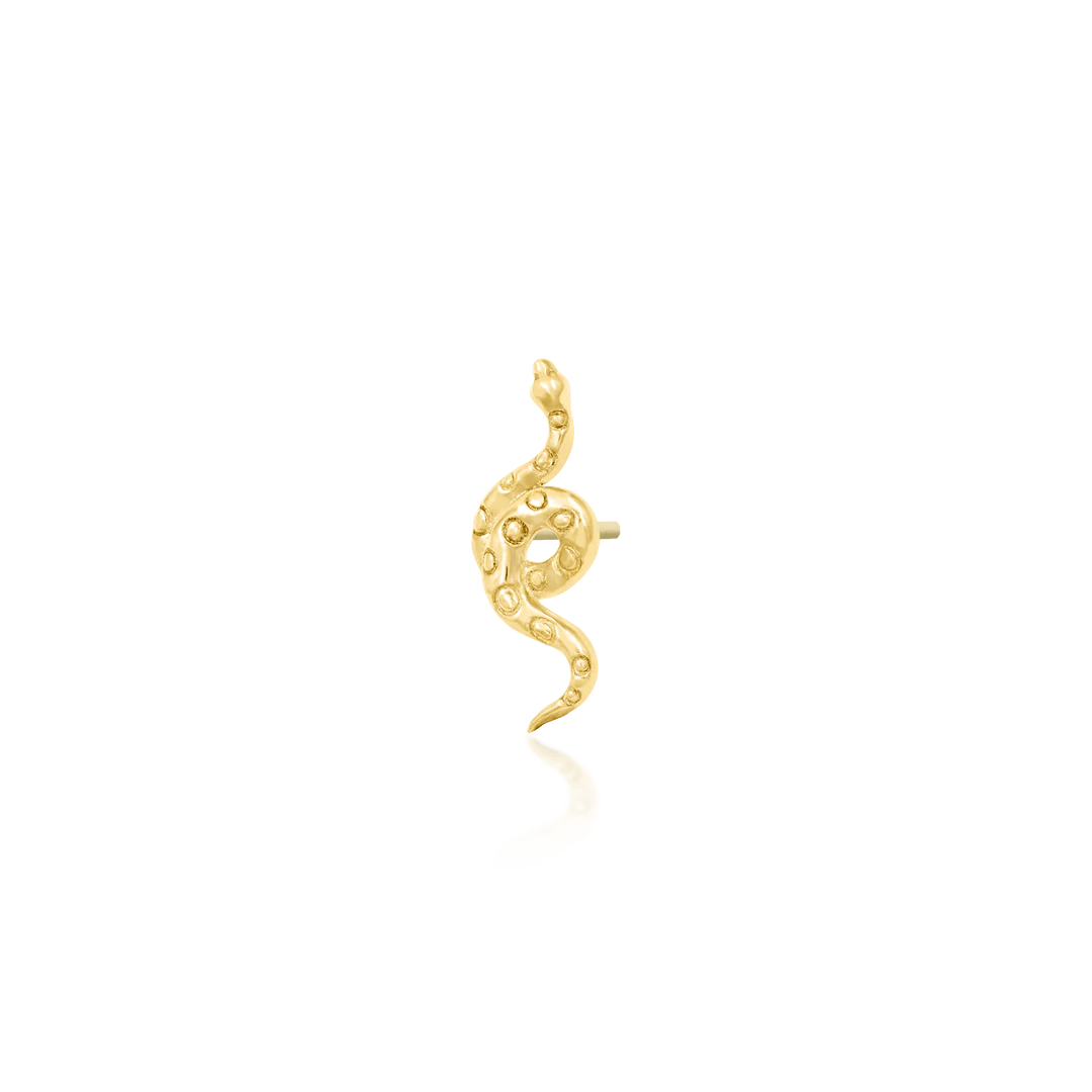 TEXTURED SNAKE-14K GOLD piercing-zone.com