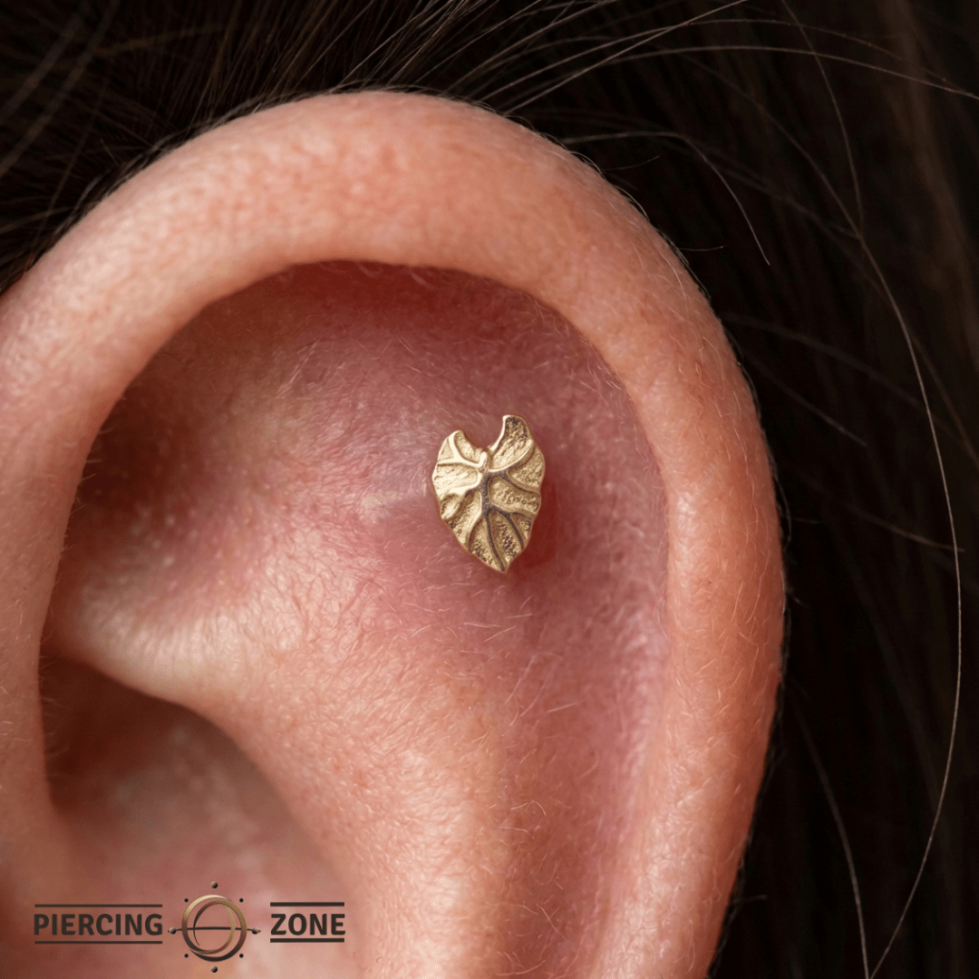 Kalo Leaf – 14K Gold Botanical Threadless End - piercing - zone.com