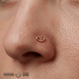 Kari – 14K Gold Threadless/Threaded End - piercing - zone.com