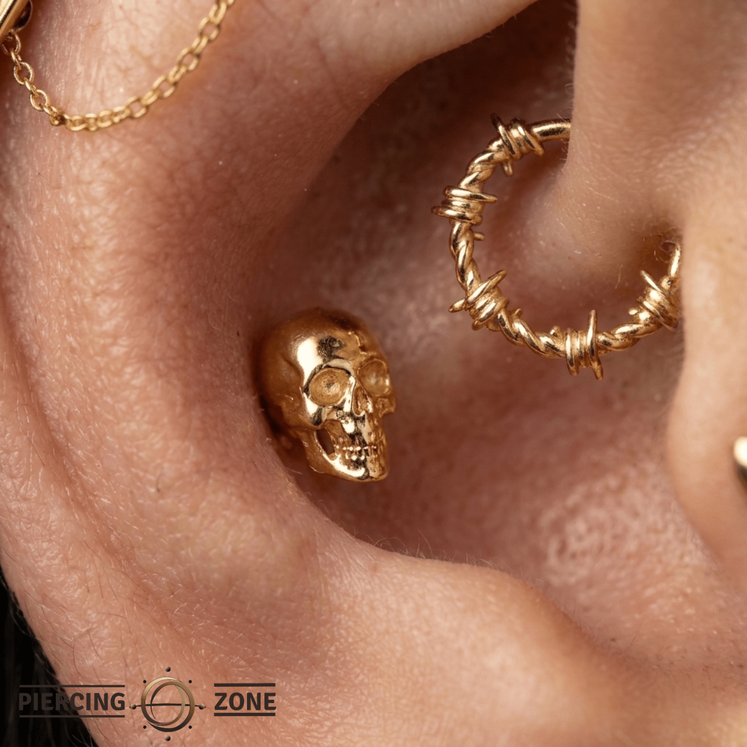 Kranion - 18K Gold Threadless/Threaded End - piercing-zone.com