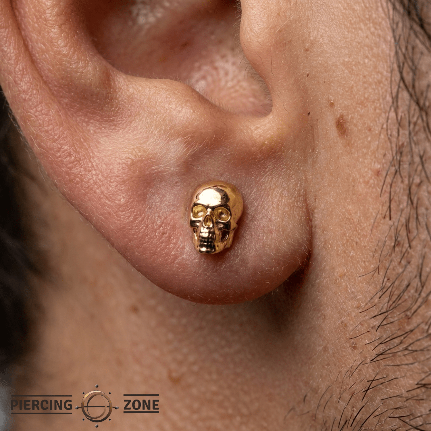 Kranion - 18K Gold Threadless/Threaded End - piercing-zone.com