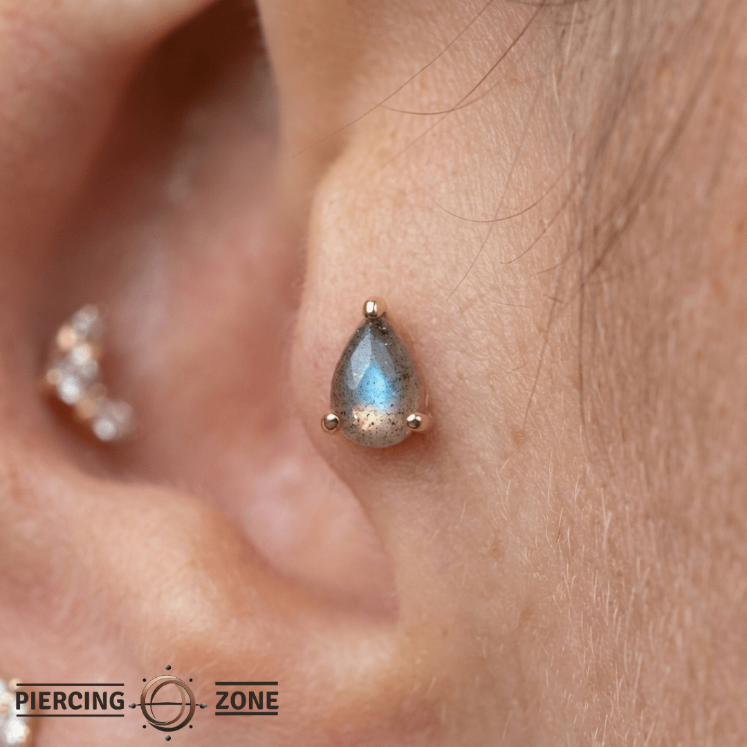 Labradorite Pear – 14K Gold Threadless End - piercing - zone.com