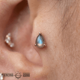 Labradorite Pear – 14K Gold Threadless End - piercing - zone.com