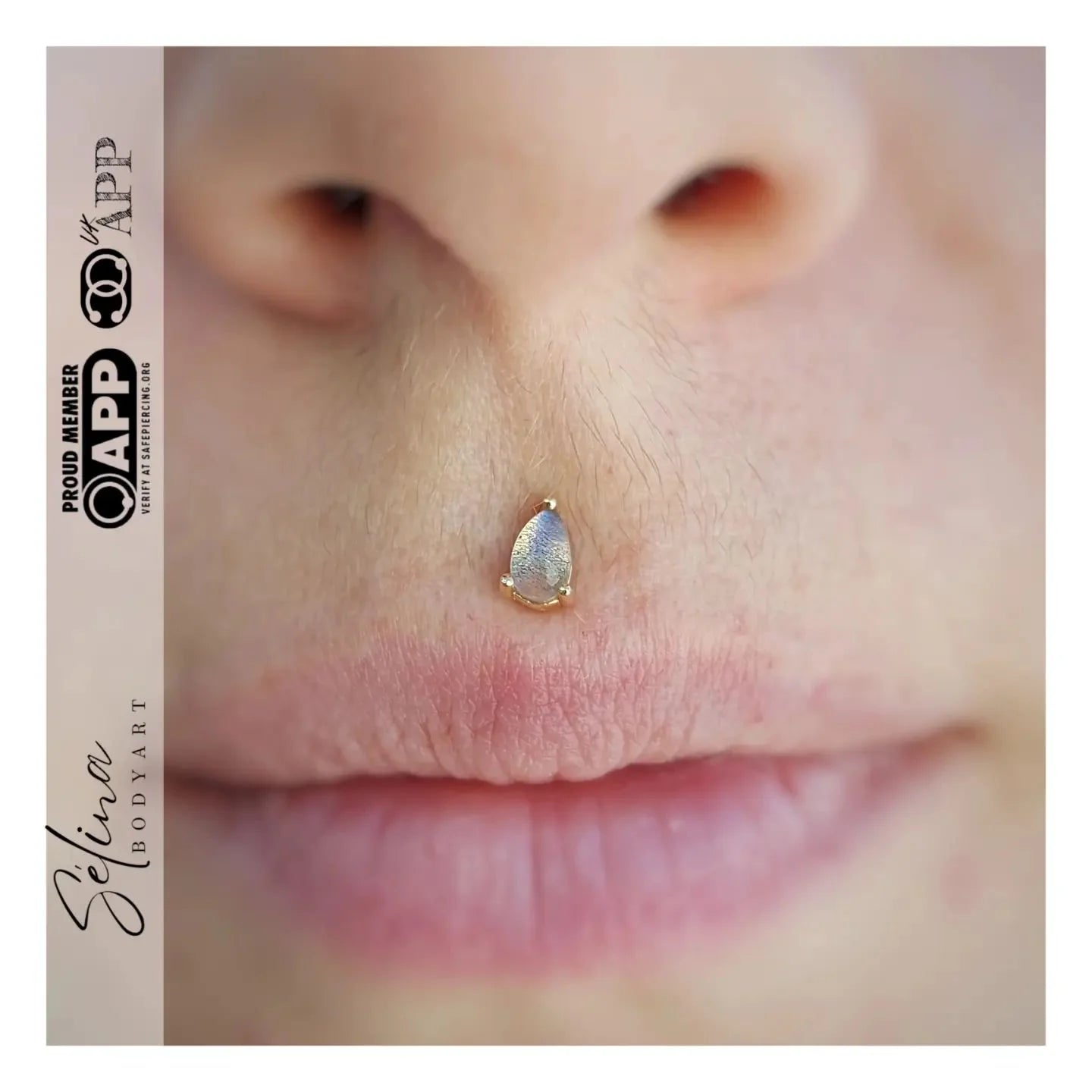 Labradorite Pear – 14K Gold Threadless End - piercing - zone.com