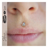 Labradorite Pear – 14K Gold Threadless End - piercing - zone.com