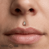Labradorite Pear – 14K Gold Threadless End - piercing - zone.com