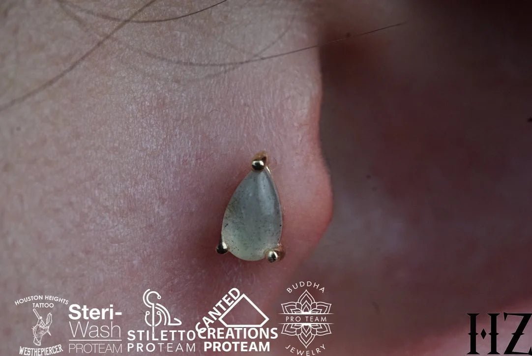 Labradorite Pear – 14K Gold Threadless End - piercing - zone.com