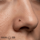 Labret - 14K Gold Internally Threaded Labret Post - piercing - zone.com