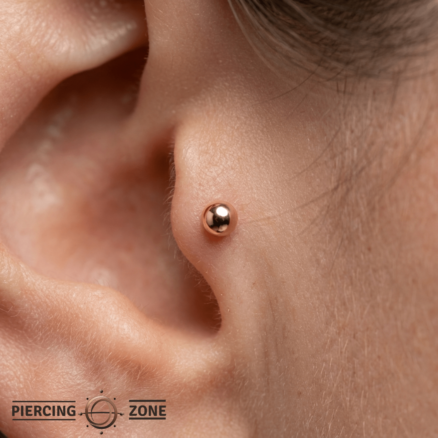 Labret - 14K Gold Internally Threaded Labret Post - piercing - zone.com