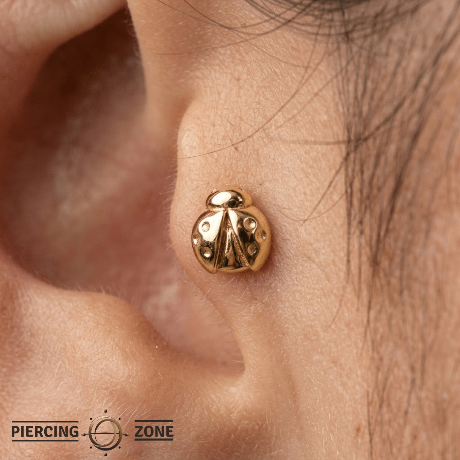 Ladybug – 14K Gold Threadless/Threaded End - piercing - zone.com
