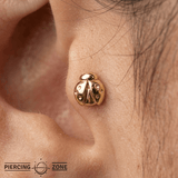 Ladybug – 14K Gold Threadless/Threaded End - piercing - zone.com