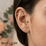 Ladybug – 14K Gold Threadless/Threaded End - piercing - zone.com