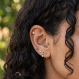 Ladybug – 14K Gold Threadless/Threaded End - piercing - zone.com