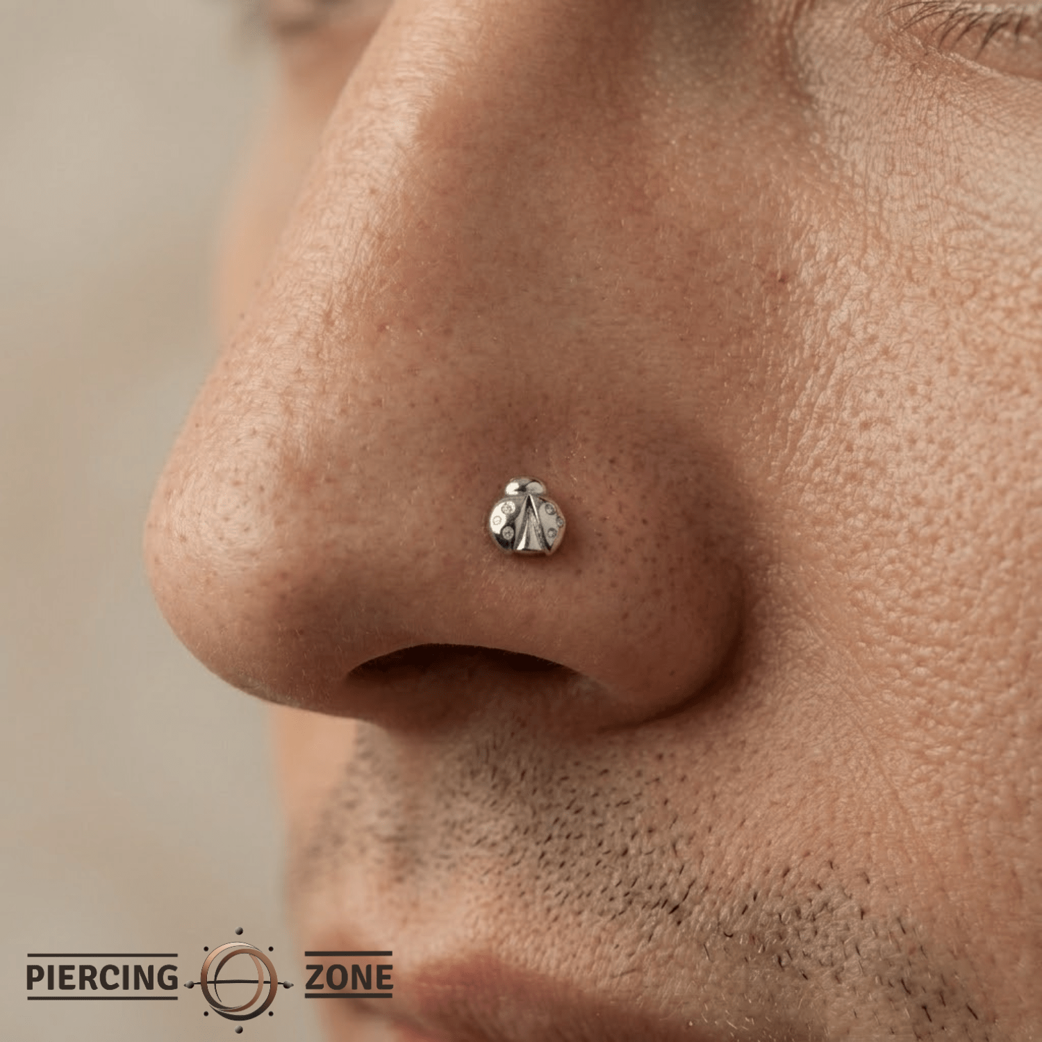 Ladybug – 14K Gold Threadless/Threaded End - piercing - zone.com