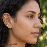 Ladybug – 14K Gold Threadless/Threaded End - piercing - zone.com