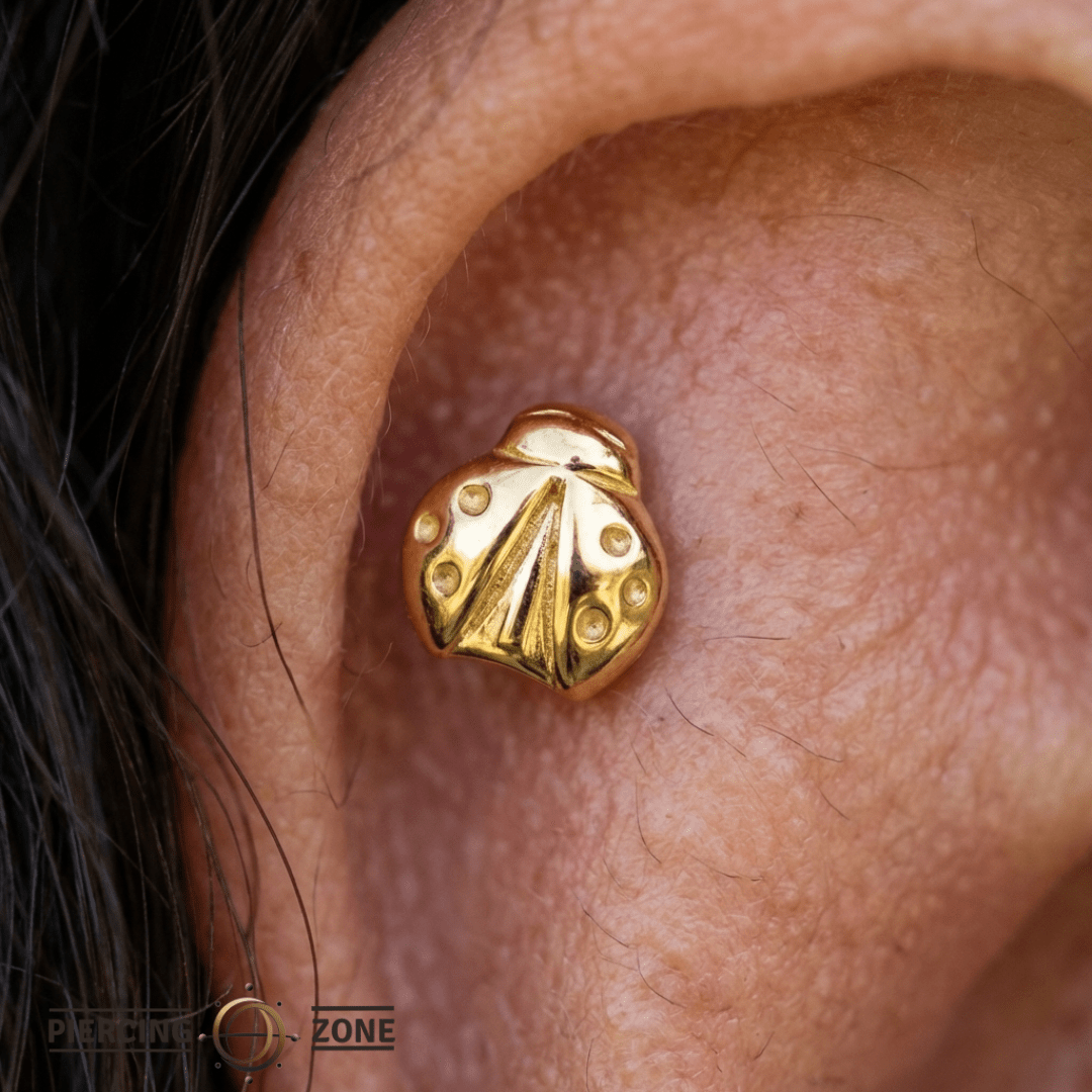 Ladybug – 14K Gold Threadless/Threaded End - piercing - zone.com