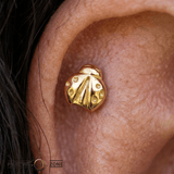 Ladybug – 14K Gold Threadless/Threaded End - piercing - zone.com