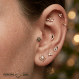 Lantana – 14K Gold Threadless/Threaded End - piercing - zone.com