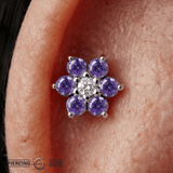 Lantana – 14K Gold Threadless/Threaded End - piercing - zone.com