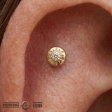 Lark Minimal CZ – 14K Gold Threadless End - piercing - zone.com