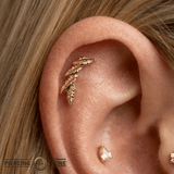 Laurel – 14K Gold Curved Leaf Threadless Pin - piercing - zone.com