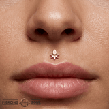 Lavish – Teardrop Silhouette – 14K Gold Threadless End - piercing - zone.com