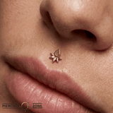 Lavish – Teardrop Silhouette – 14K Gold Threadless End - piercing - zone.com