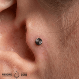 Lazer Disk – Black Rhodium Finish – 14K Gold Threadless End - piercing - zone.com
