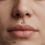 Lazer Disk – Laser - Textured – 14K Gold Threadless End - piercing - zone.com