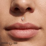 Le Tigre – CZ Cluster Spike – 14K Gold Threadless End - piercing - zone.com