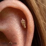Leaf – 14K Gold Threadless/Threaded End - piercing - zone.com