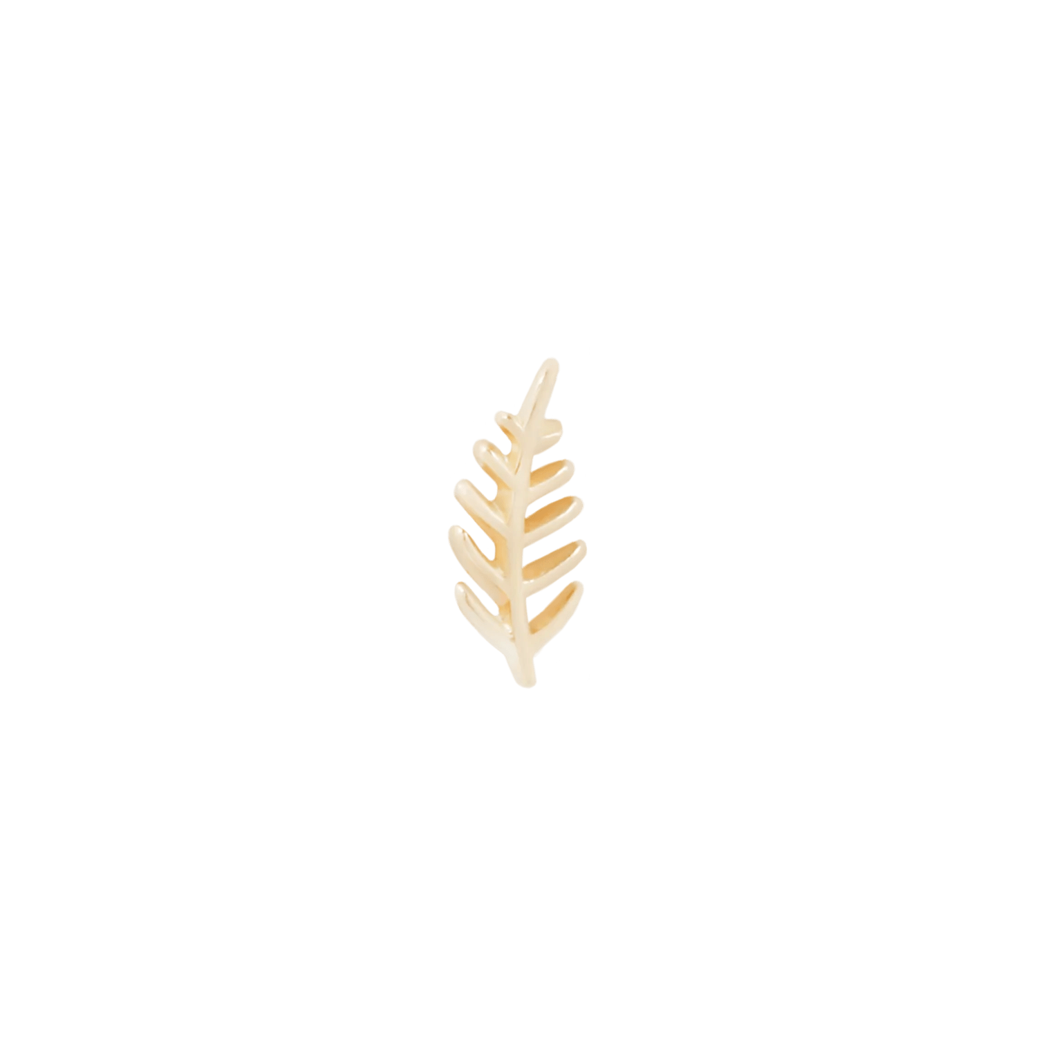 Wee Fronds - Threadless End