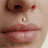 Leo – 14K Gold Threadless/Threaded End - piercing - zone.com