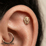 Lion – 14K Gold Threadless/Threaded End - piercing - zone.com