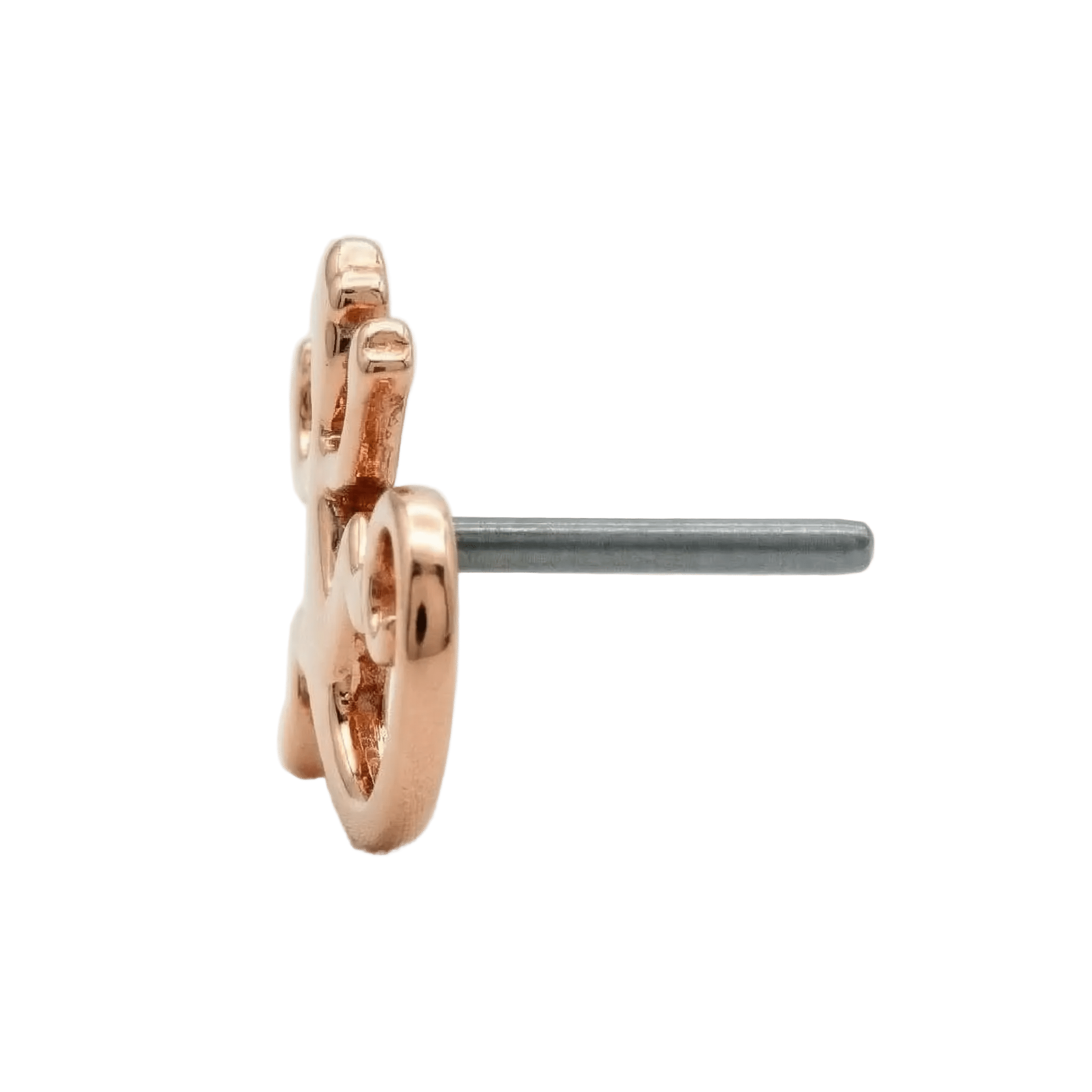 Lizard – 14K Gold Threadless/Threaded End - piercing - zone.com