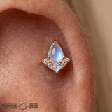 Love Language – Rainbow Moonstone & CZ – 14K Gold Threadless End - piercing - zone.com