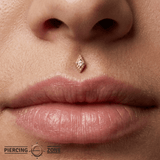 Luck Pin - 14K Gold Gem Threadless End - piercing - zone.com