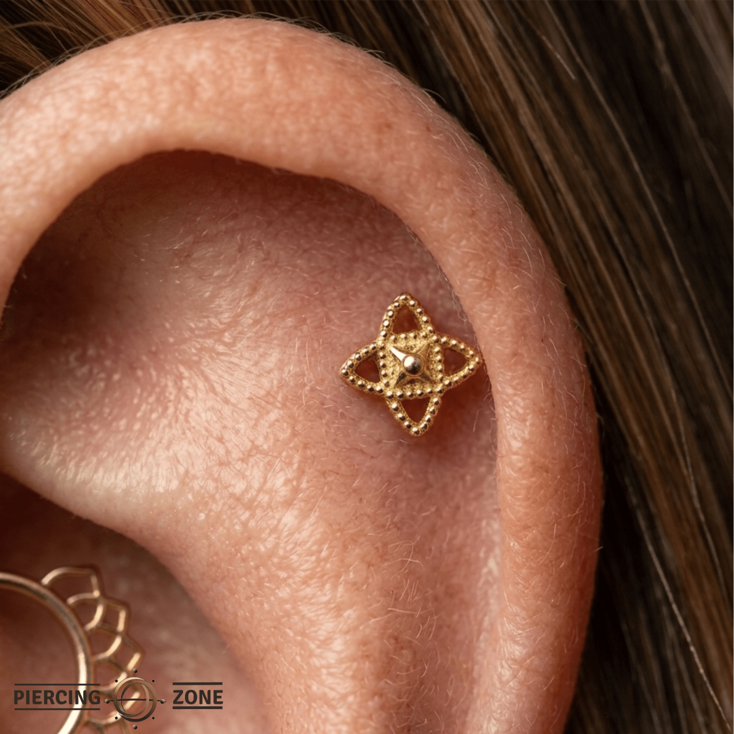Luma – 14K Gold Threadless/Threaded End - piercing - zone.com