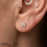 Luminescent – CZ Starburst – 14K Gold Threadless End - piercing - zone.com