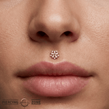 Luminescent – CZ Starburst – 14K Gold Threadless End - piercing - zone.com