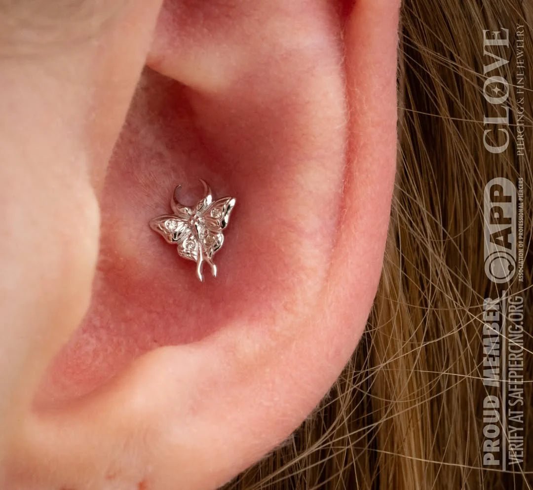 Luna – CZ Accented Moth – 14K Gold Threadless End - piercing - zone.com