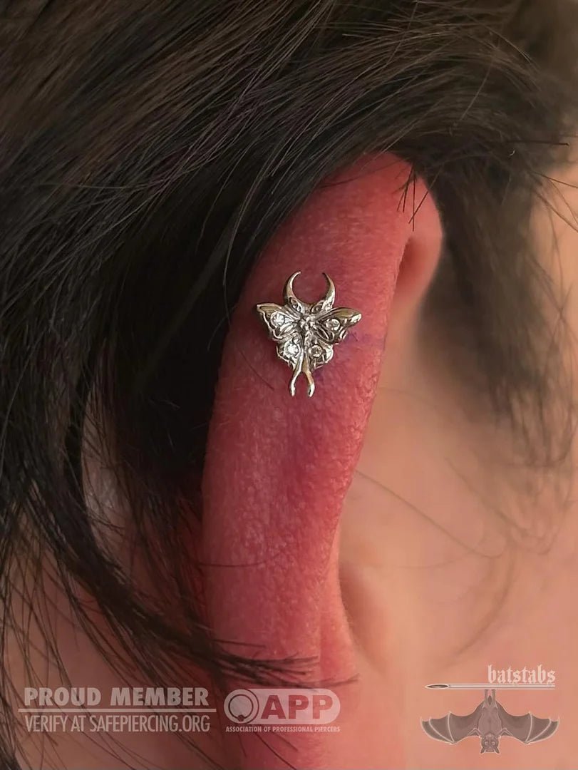 Luna – CZ Accented Moth – 14K Gold Threadless End - piercing - zone.com