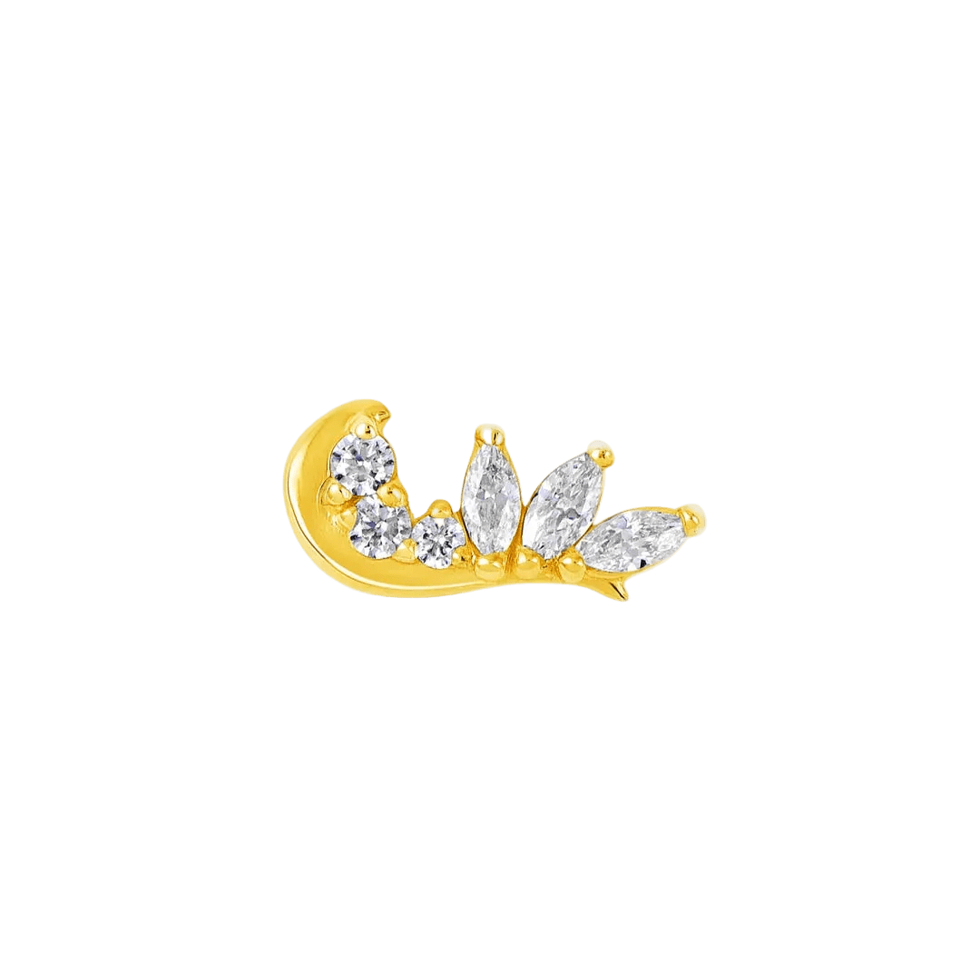 Lupine – 14K Gold Threadless/Threaded End - piercing - zone.com