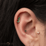 Lupine – 14K Gold Threadless/Threaded End - piercing - zone.com