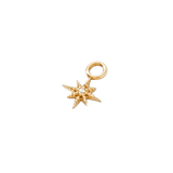 Lustre Charm - 14K Gold Gem Charm - piercing - zone.com