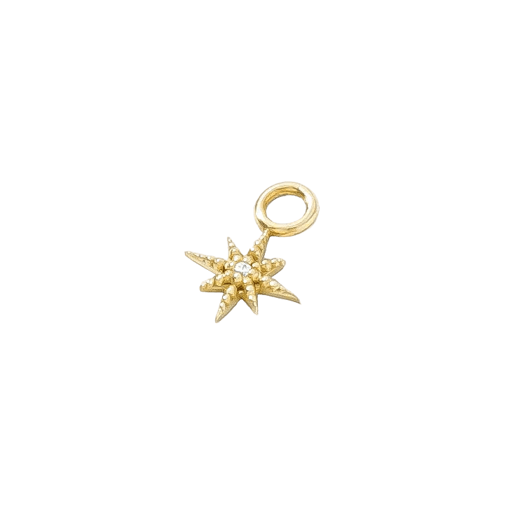 Lustre Charm - 14K Gold Gem Charm - piercing - zone.com
