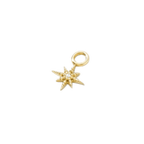 Lustre Charm - 14K Gold Gem Charm - piercing - zone.com